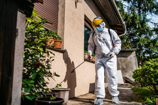Best Best Pest Control Companies  in Folkston, GA