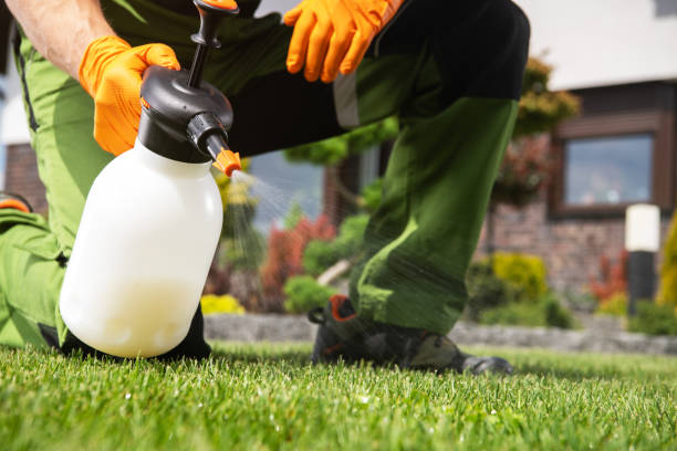 Best Pest Inspection Near Me  in Folkston, GA