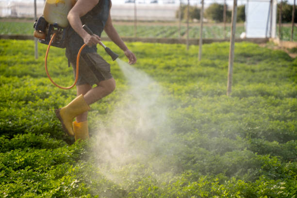 Pest Control for Restaurants in Folkston, GA