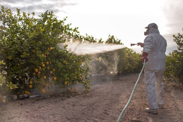 Best Exterminator Services  in Folkston, GA