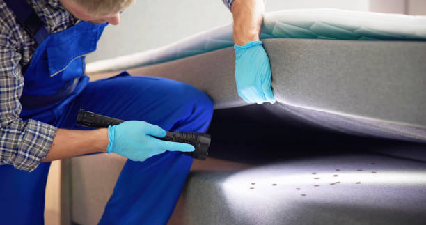 Best Emergency Pest Control  in Folkston, GA