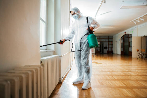Reliable Folkston, GA Pest Control Solutions