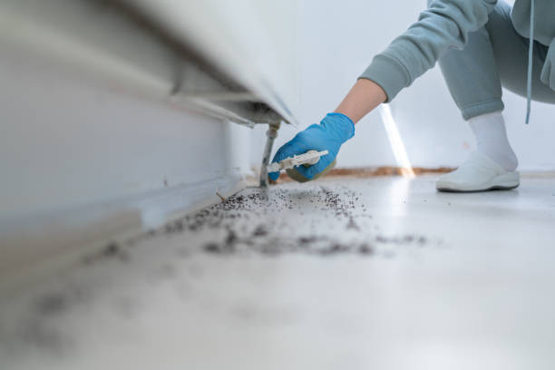 Pest Control Cost in Folkston, GA